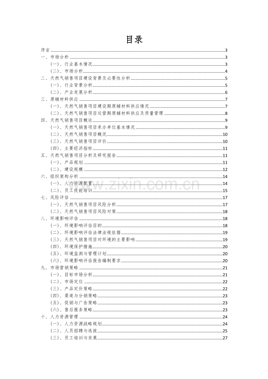 2025年天然气销售项目调研报告.docx_第2页