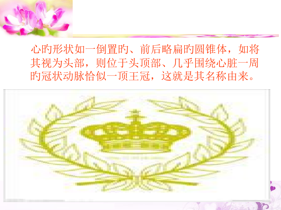 冠脉血管专题知识宣讲.ppt_第2页