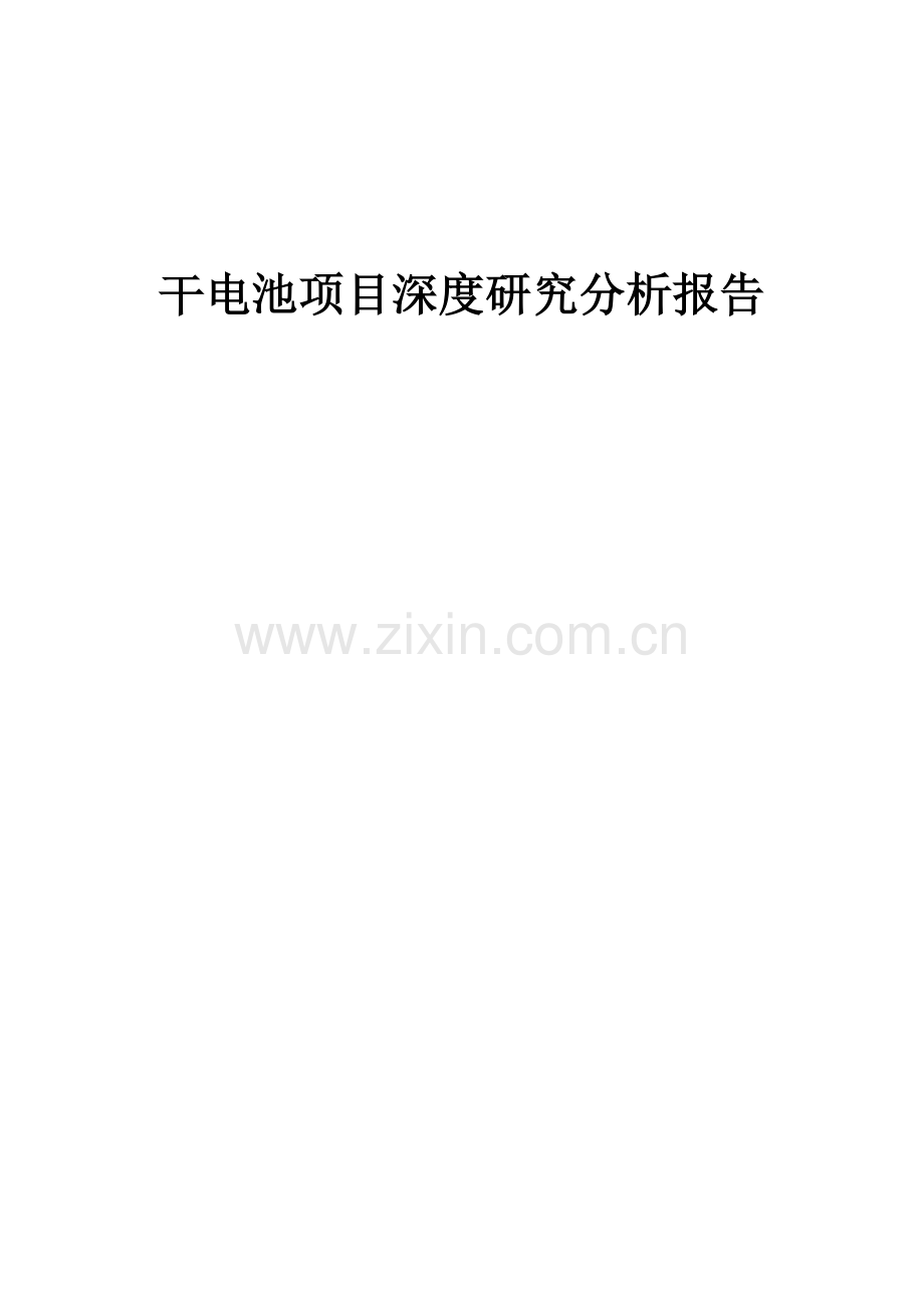 2024年干电池项目深度研究分析报告.docx_第1页
