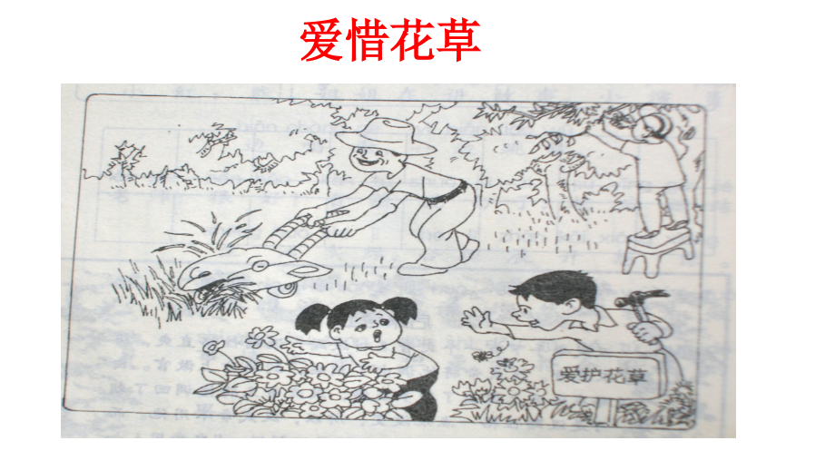 二年级看图写话集有例文.pptx_第1页