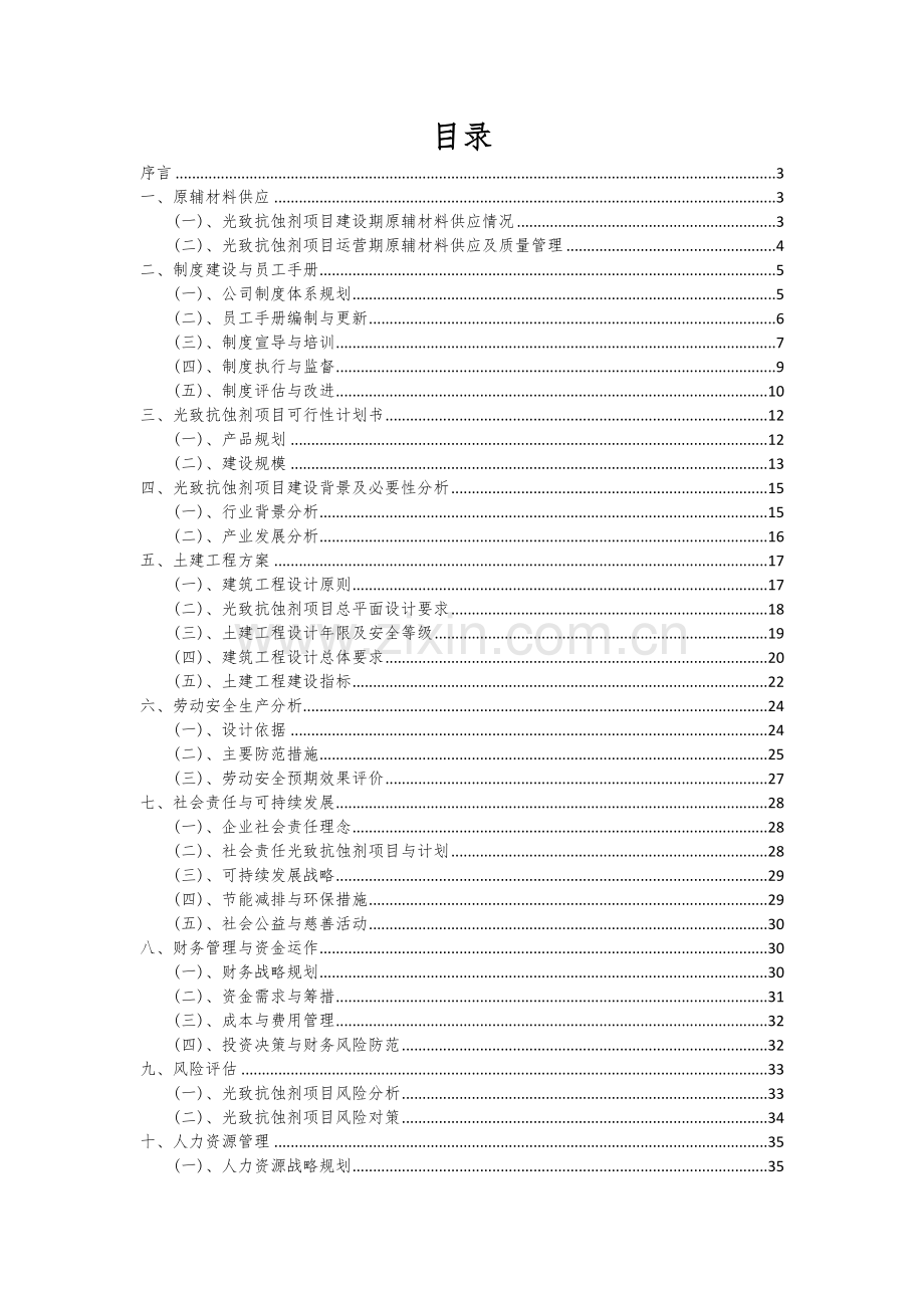 2025年度光致抗蚀剂项目可行性研究报告.docx_第2页