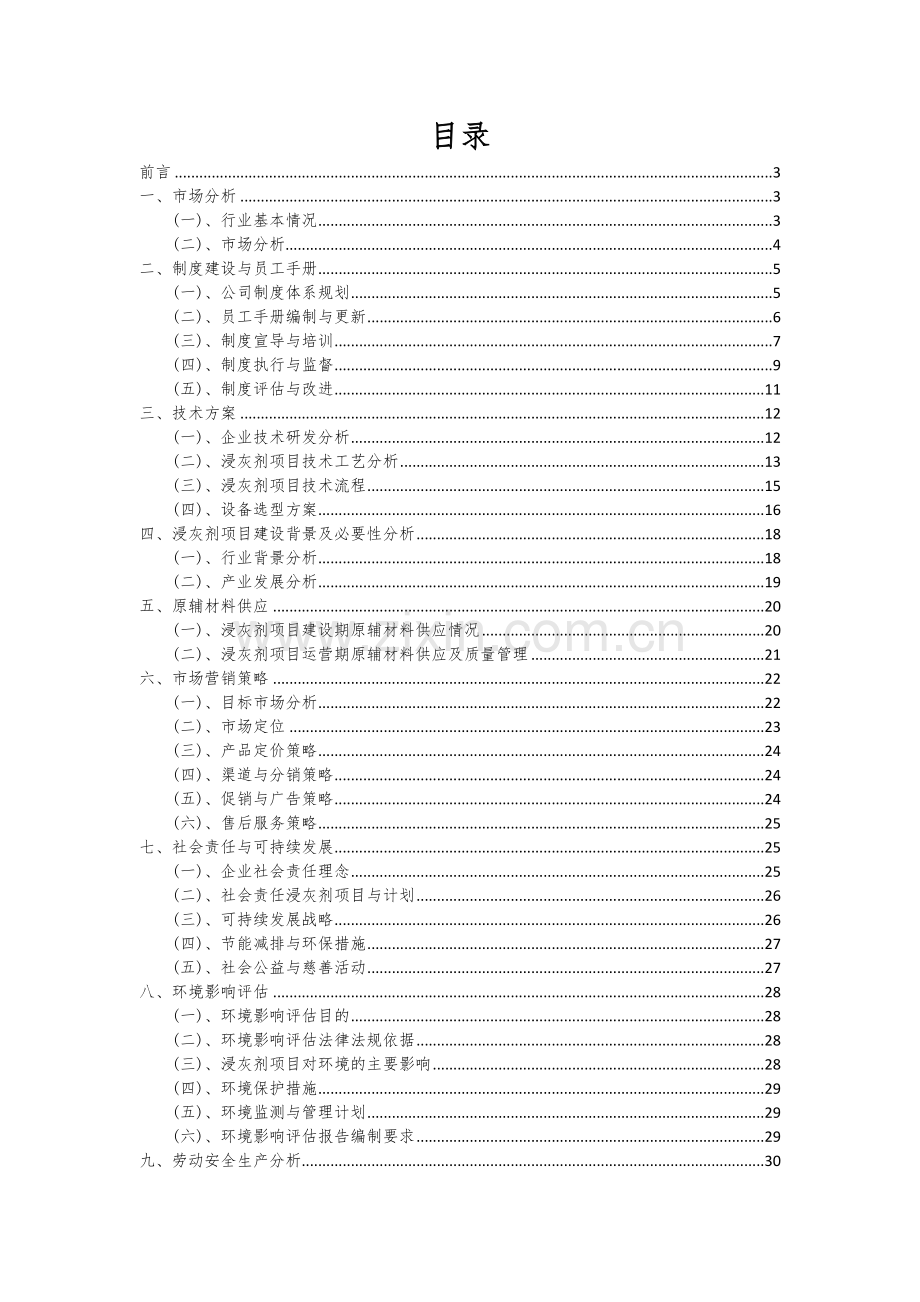 2025年浸灰剂项目可行性研究报告.docx_第2页