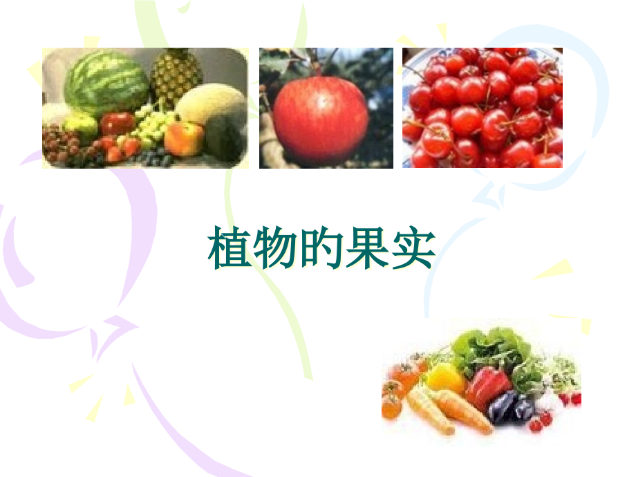 实验7植物的果实.pptx_第1页
