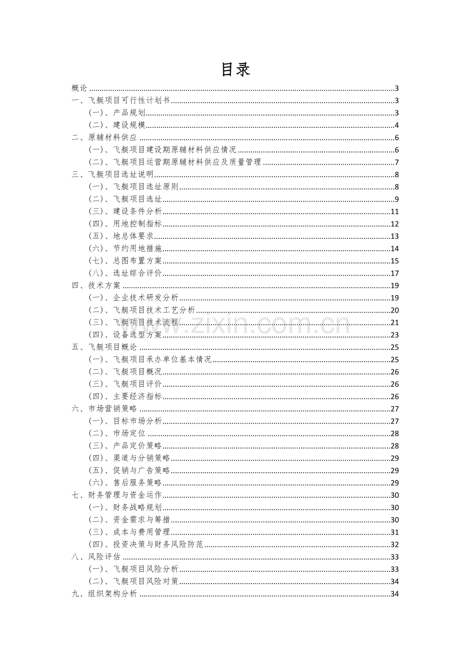 2025年飞艇项目可行性方案.docx_第2页