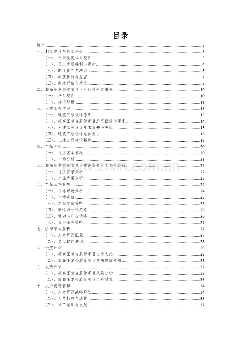 2024年超高压复合胶管项目深度研究分析报告.docx_第2页