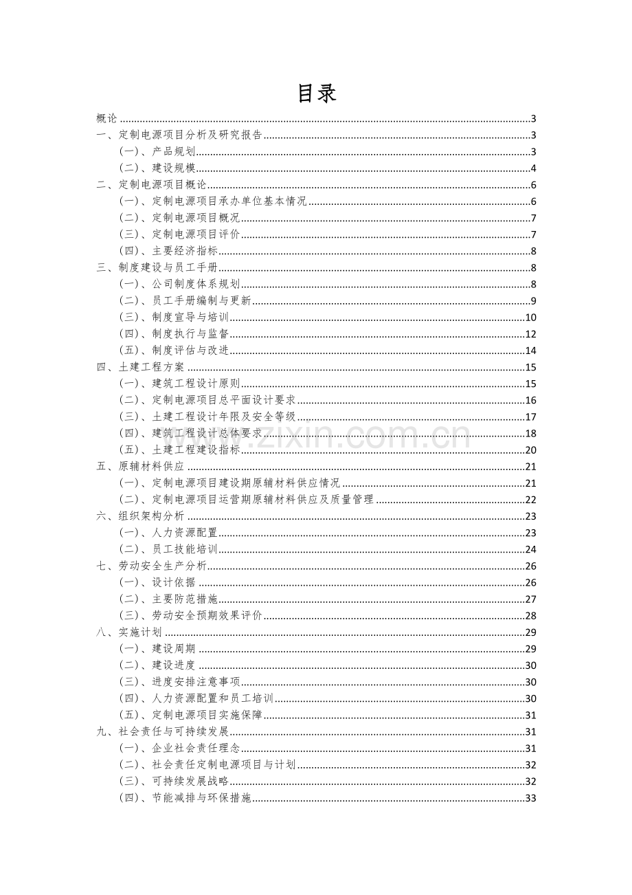 2025年定制电源项目分析报告.docx_第2页