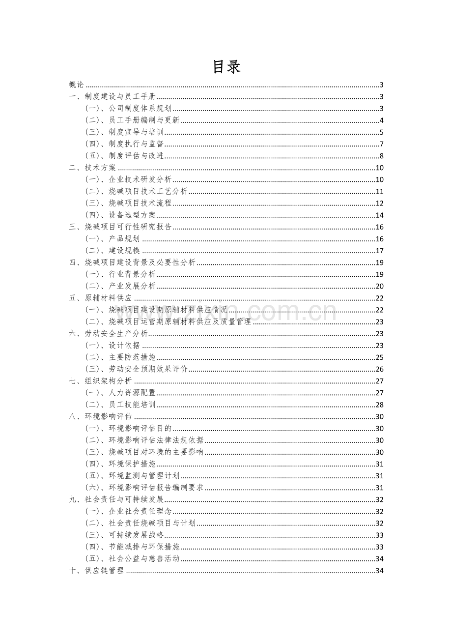 2024年烧碱项目可行性研究报告.docx_第2页