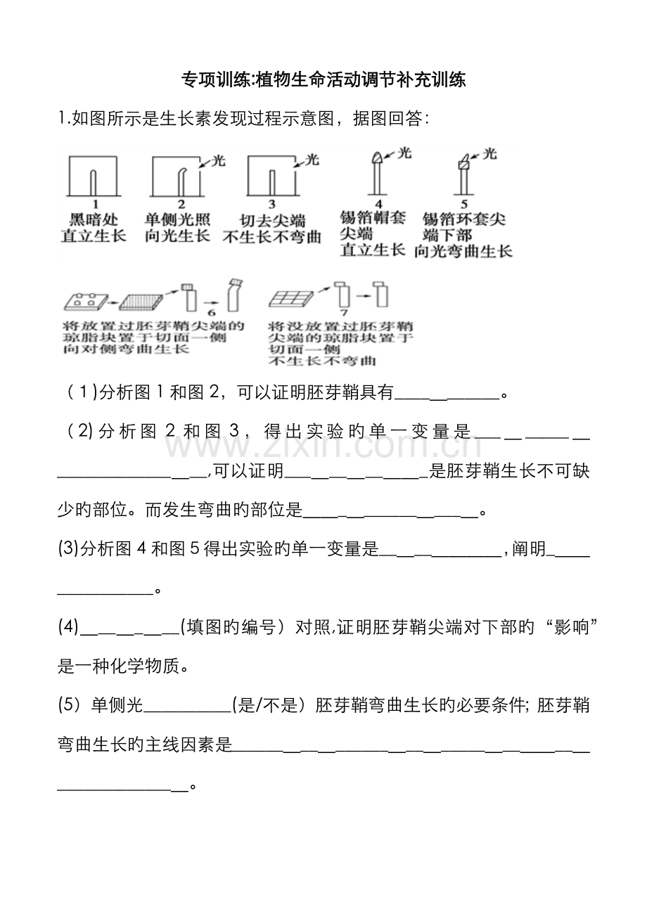 专题训练5植物激素调节练习.doc_第1页