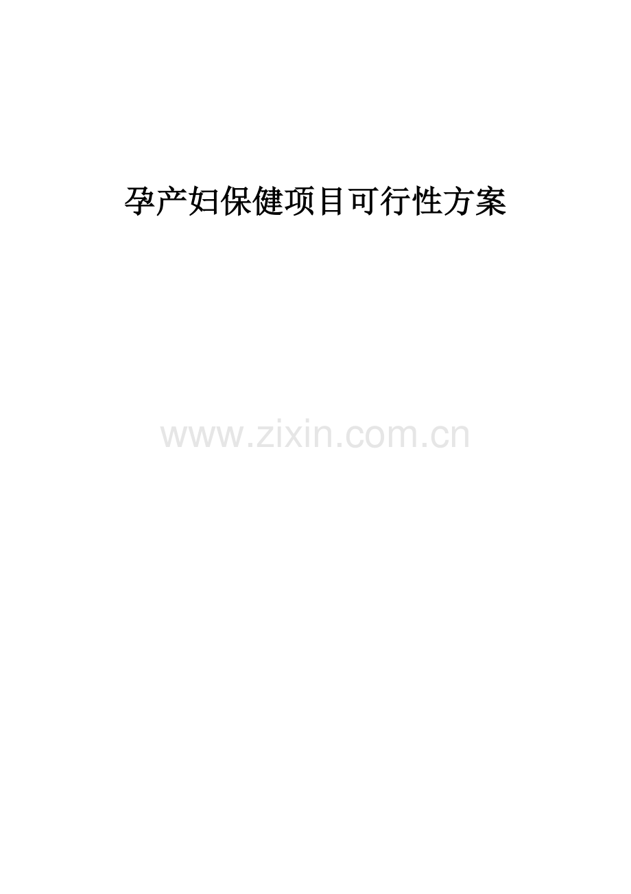 2025年度孕产妇保健项目可行性方案.docx_第1页
