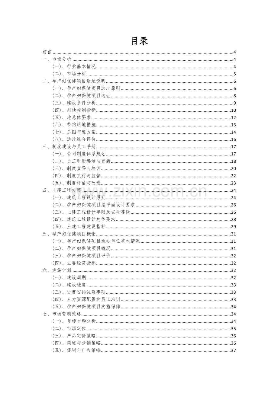 2025年度孕产妇保健项目可行性方案.docx_第2页