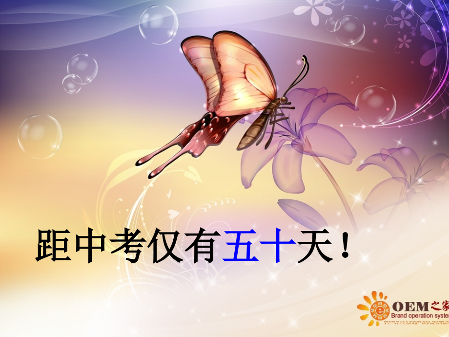 九2班主题班会复习课程.ppt_第2页