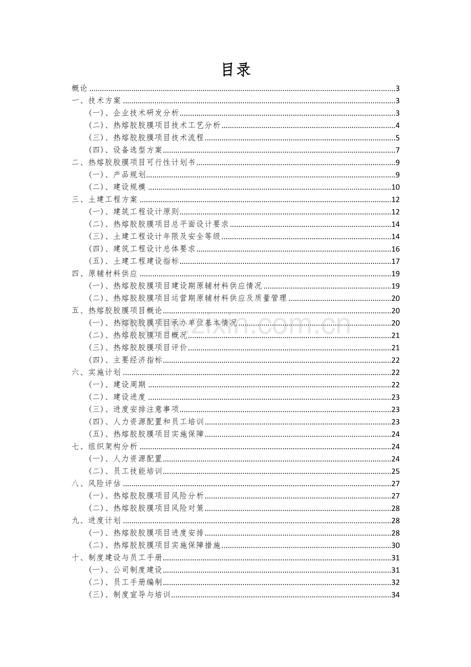 2025年热熔胶胶膜项目可行性计划书.docx_第2页
