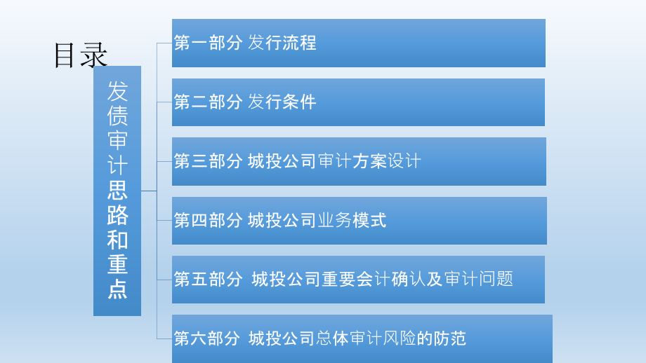发债审计思路和重点.pptx_第1页