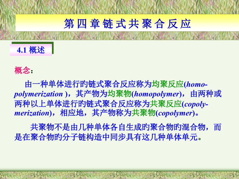 第四章-链式共聚合.pptx_第2页