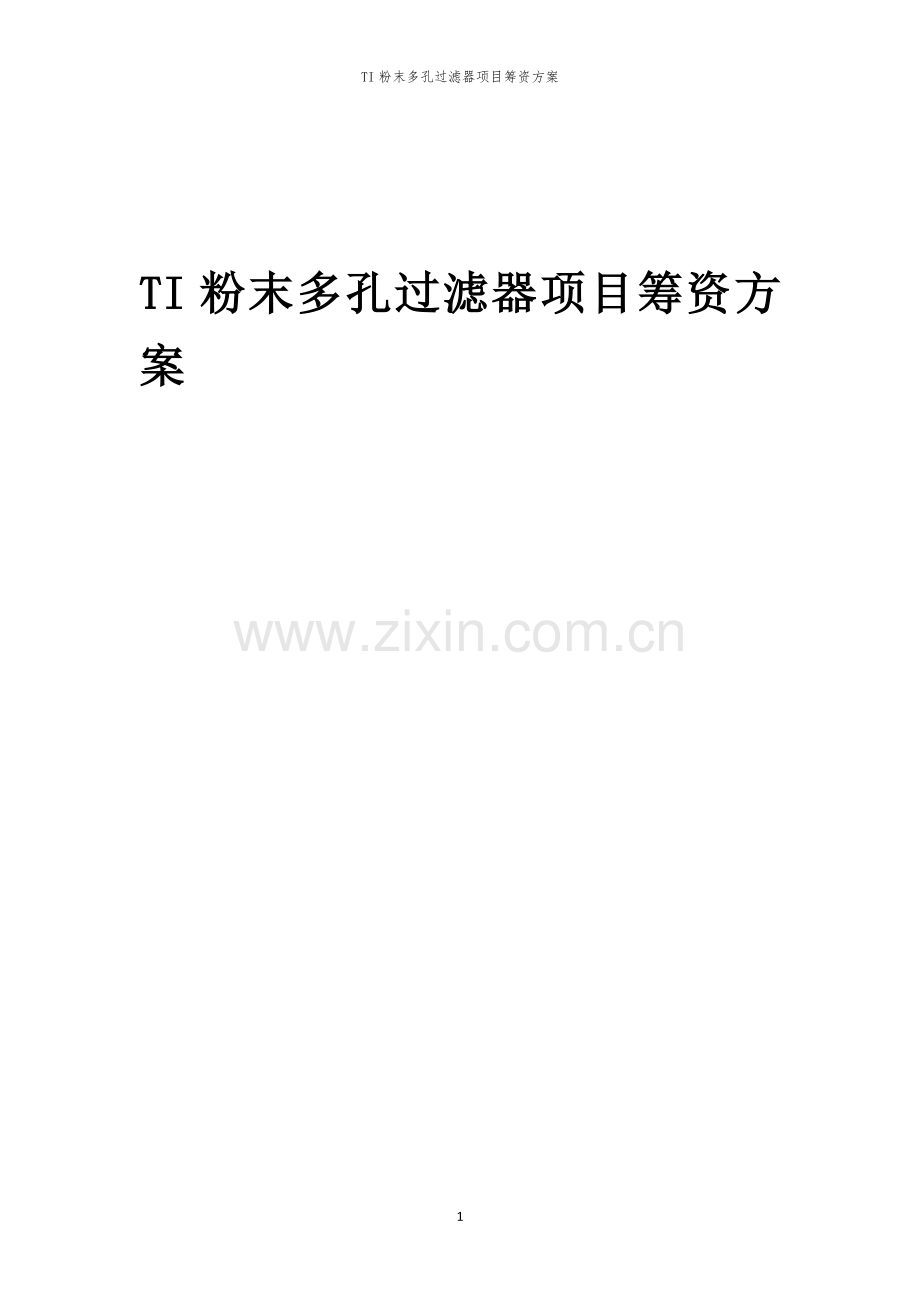 TI粉末多孔过滤器项目筹资方案.docx_第1页