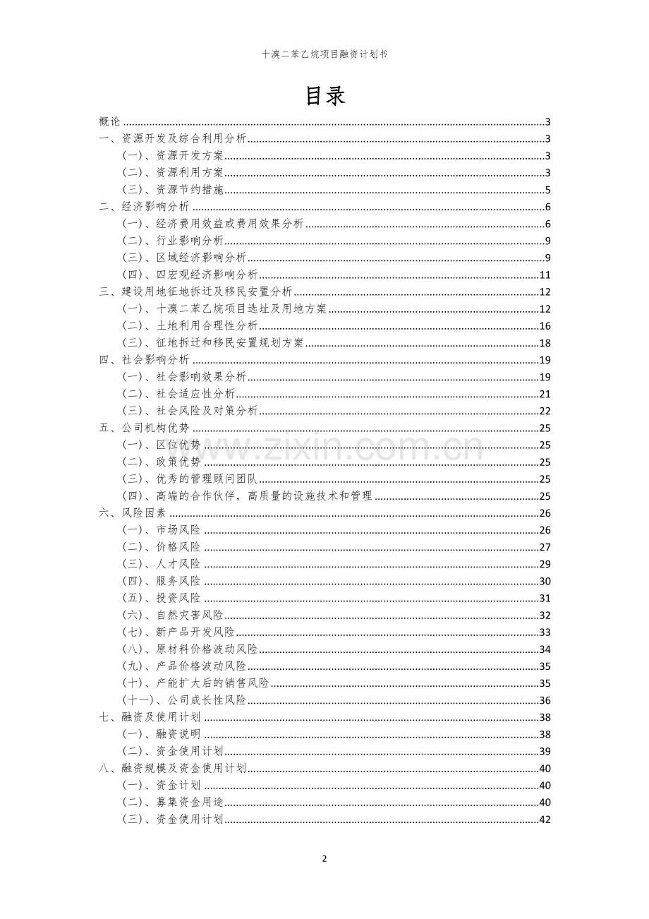 十溴二苯乙烷项目融资计划书.docx_第2页