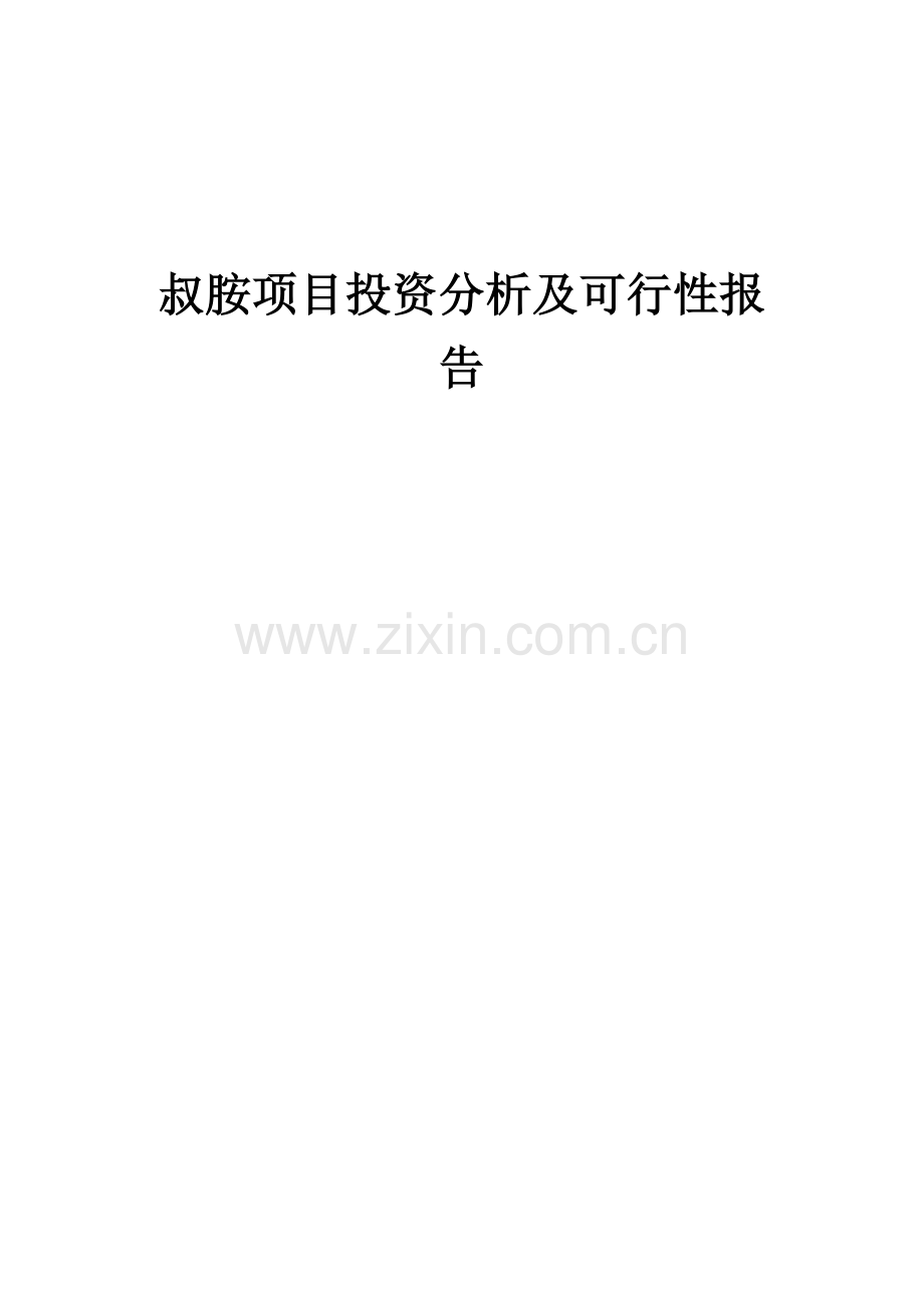 2024年叔胺项目投资分析及可行性报告.docx_第1页