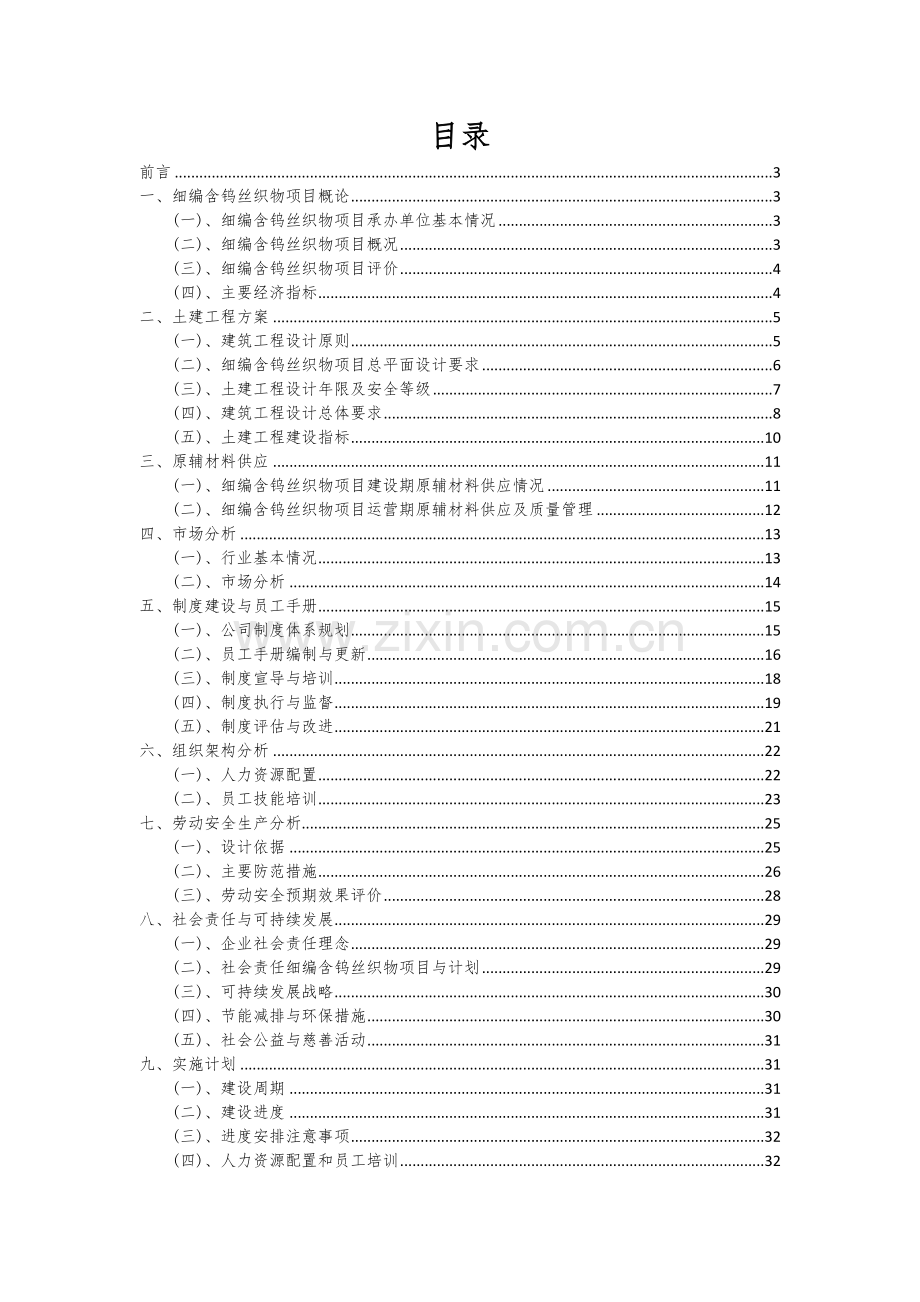 2025年度细编含钨丝织物项目可行性计划书.docx_第2页
