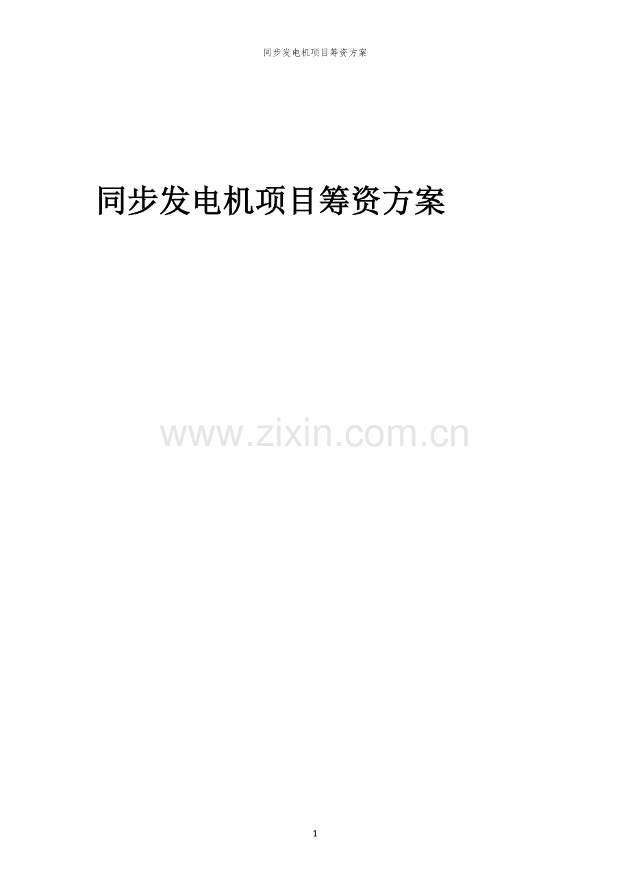 同步发电机项目筹资方案.docx_第1页