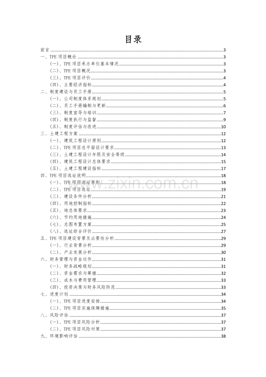 2024年TPE项目可行性研究报告.docx_第2页