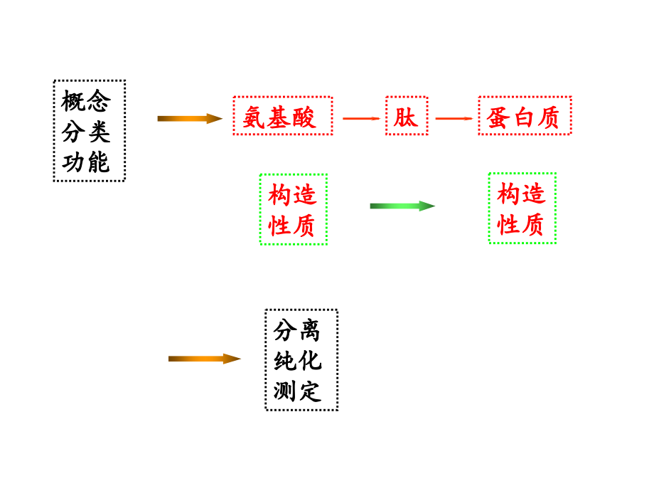 生化chapteraminoacidsandproteins.pptx_第2页