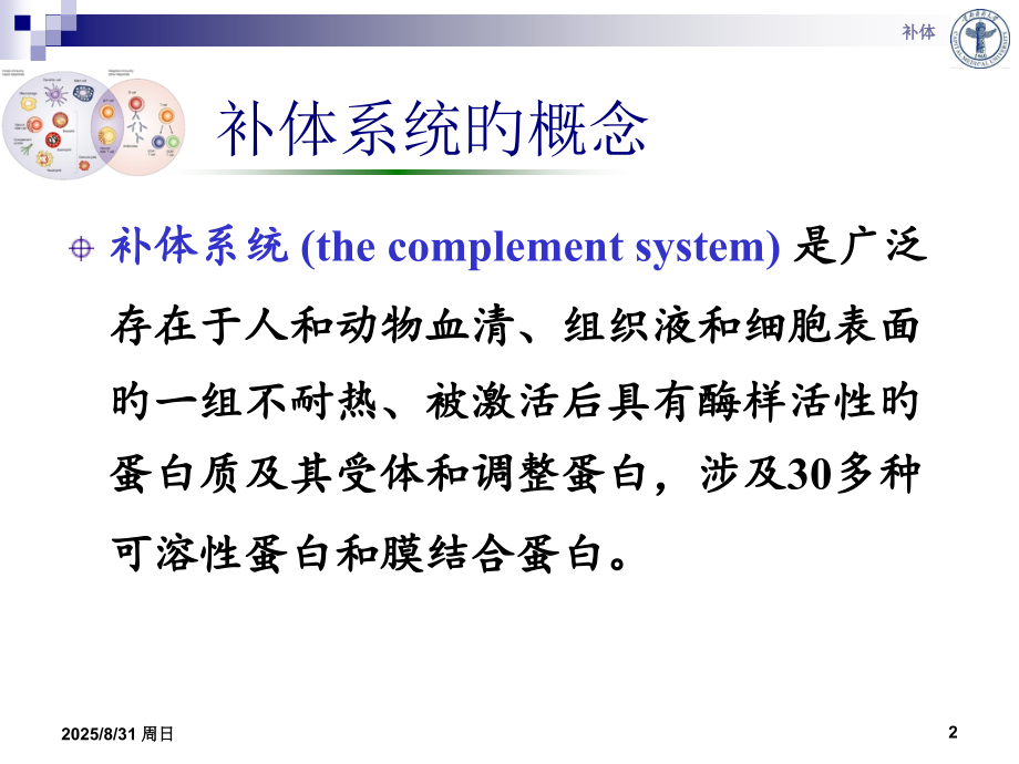 补体专业知识培训.ppt_第2页