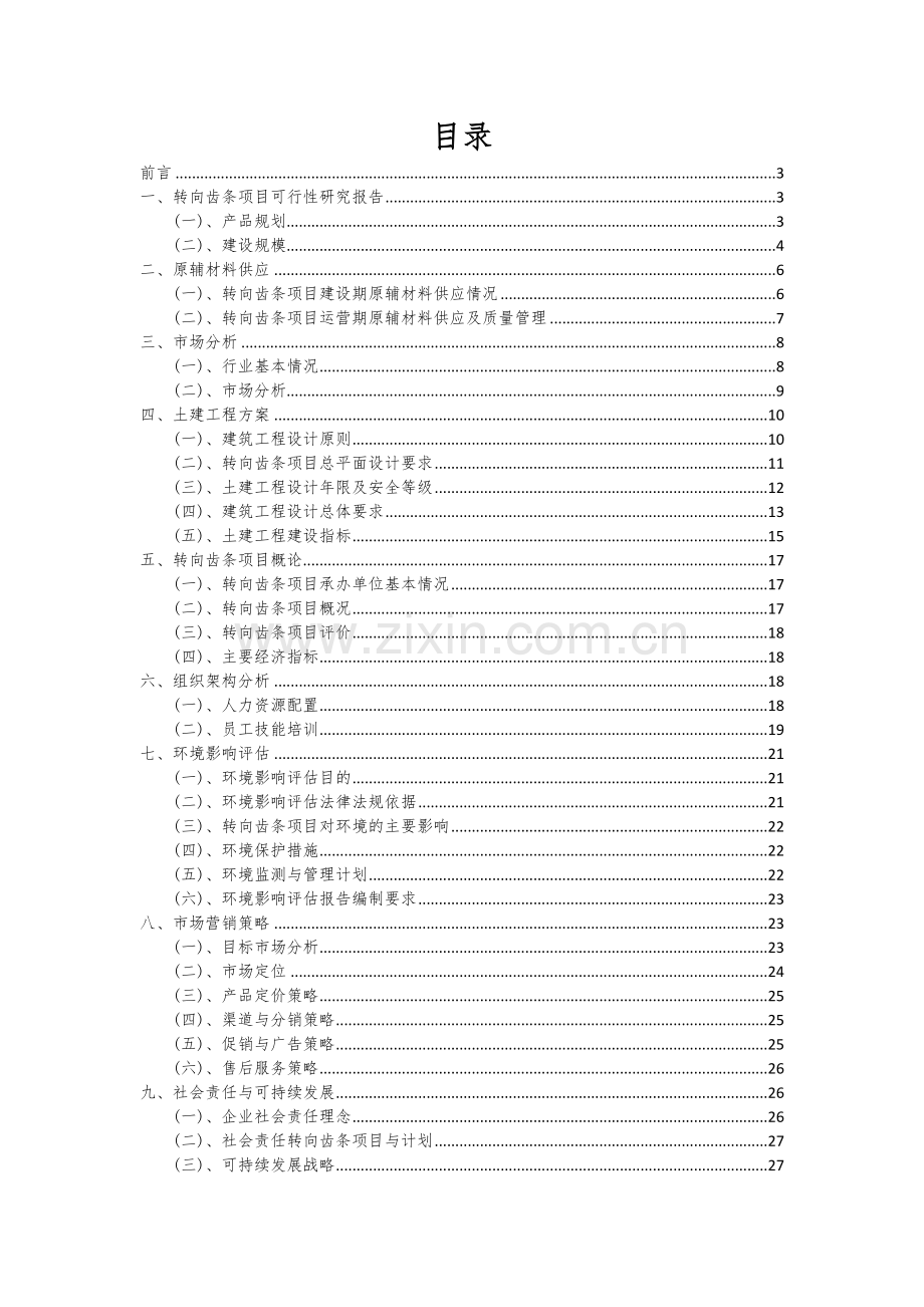 2024年转向齿条项目投资分析及可行性报告.docx_第2页