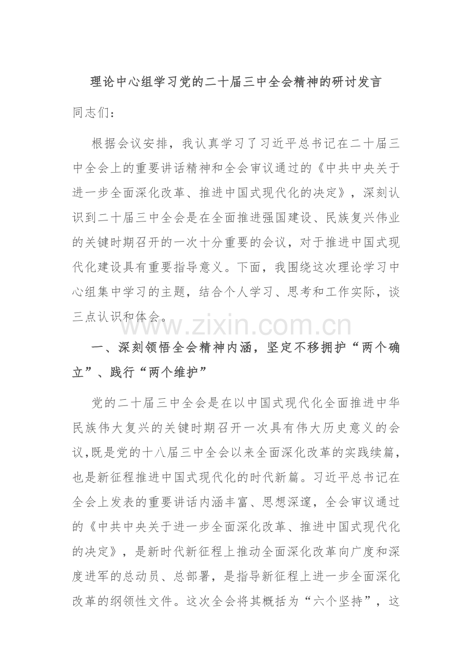 理论中心组学习党的二十届三中全会精神的研讨发言.docx_第1页