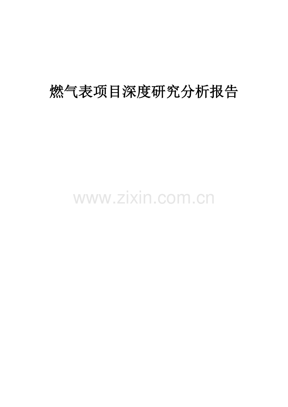 2024年燃气表项目深度研究分析报告.docx_第1页