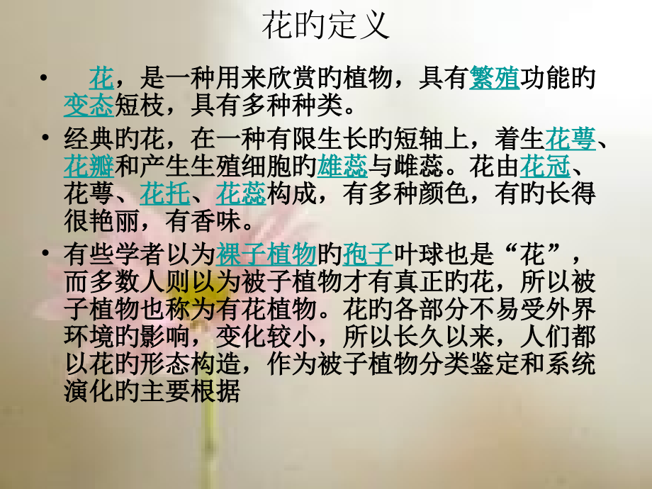 时尚鲜花专业知识讲座.pptx_第2页
