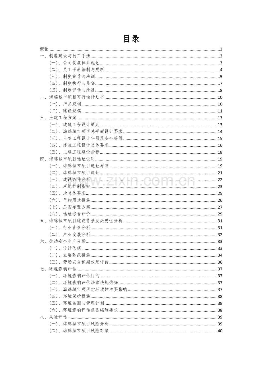 2025年海绵城市项目建议书.docx_第2页
