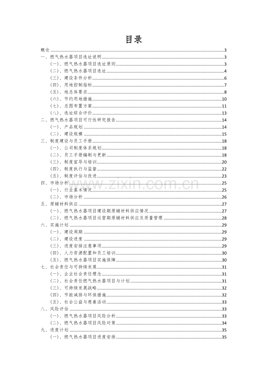 2024年燃气热水器项目可行性研究报告.docx_第2页