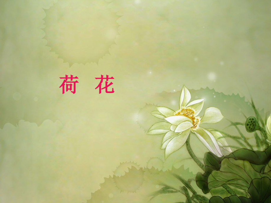 三年级语文下册《荷花》.pptx_第1页