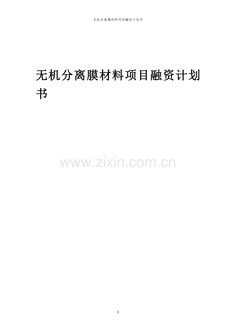 无机分离膜材料项目融资计划书.docx_第1页