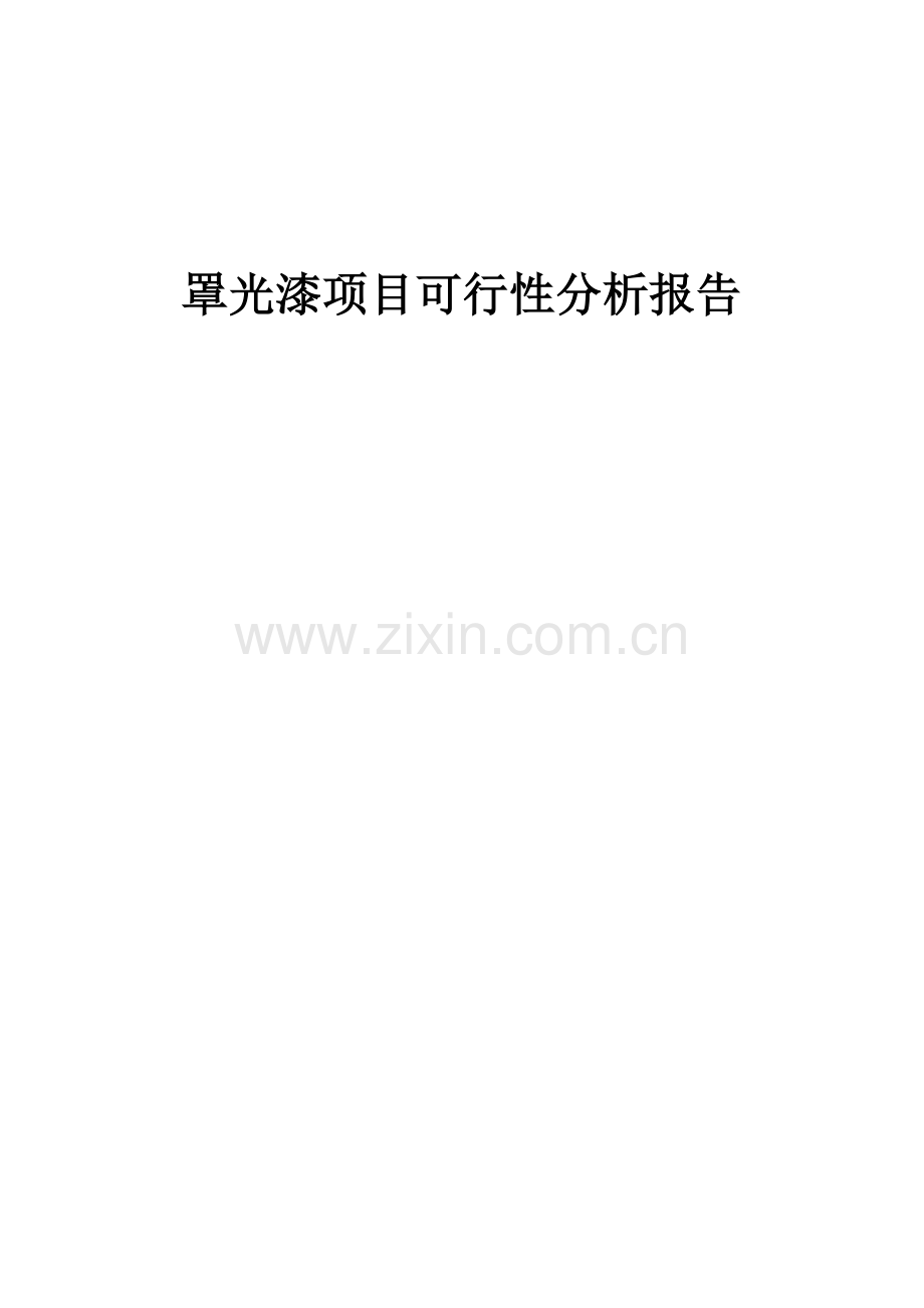 2024年罩光漆项目可行性分析报告.docx_第1页