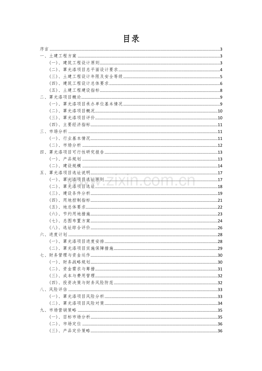 2024年罩光漆项目可行性分析报告.docx_第2页