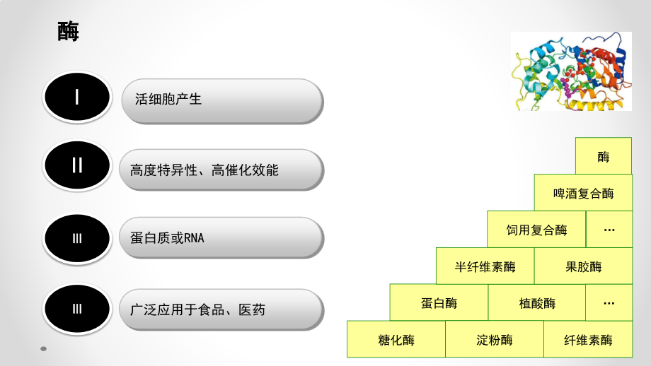 第五节微生物发酵生产酶制剂.pptx_第2页
