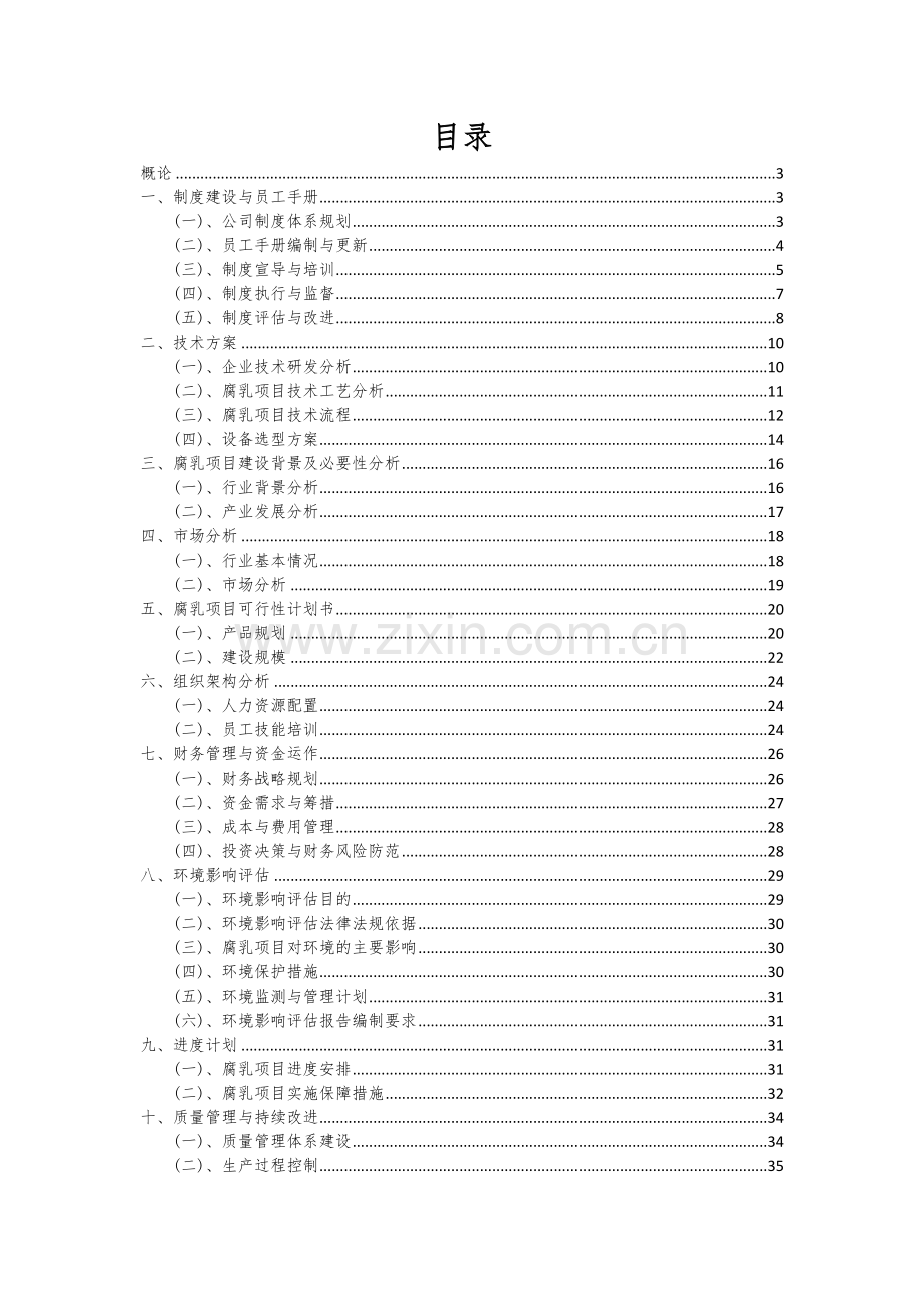 2025年腐乳项目可行性计划书.docx_第2页