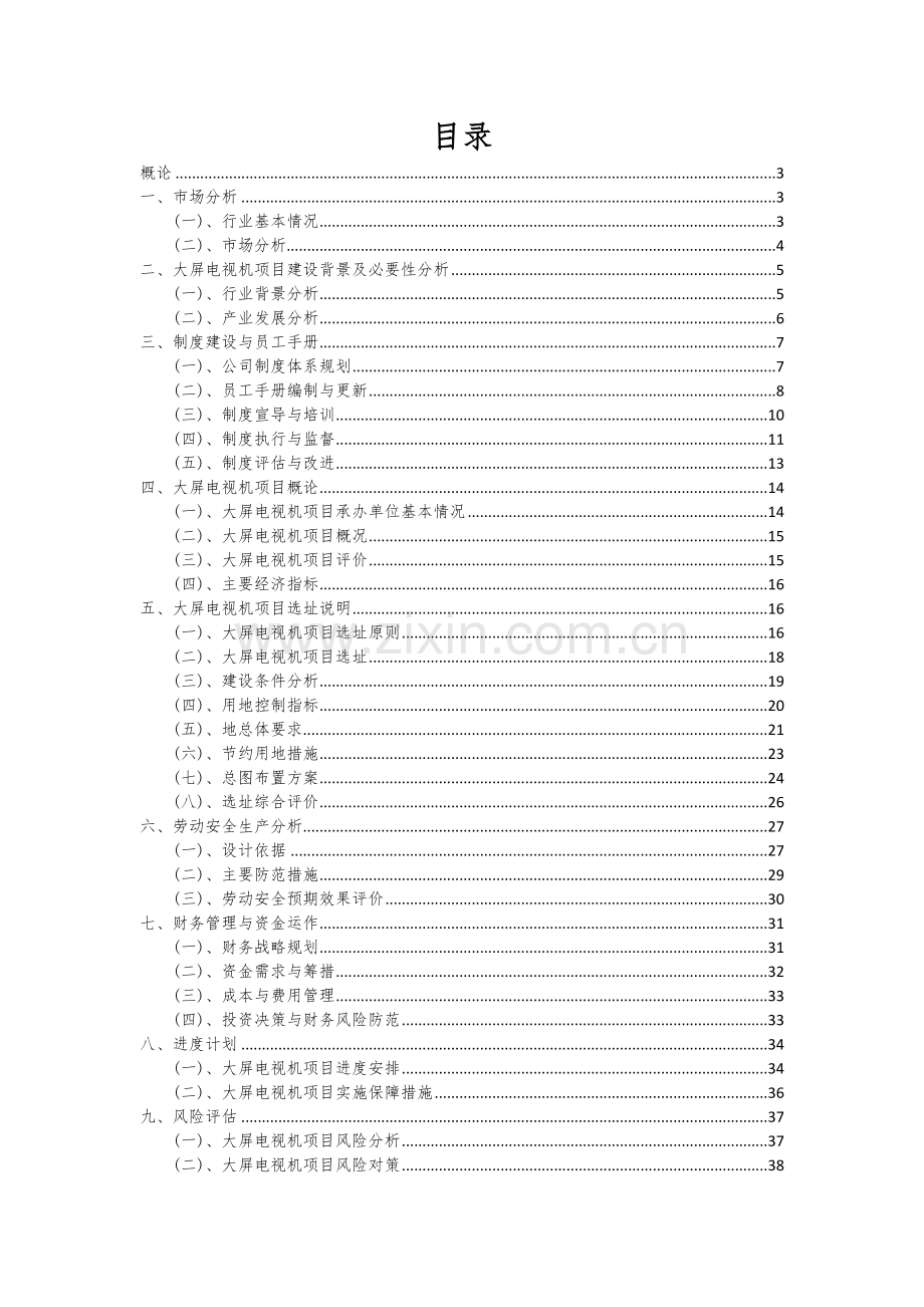 2024年大屏电视机项目可行性研究报告.docx_第2页