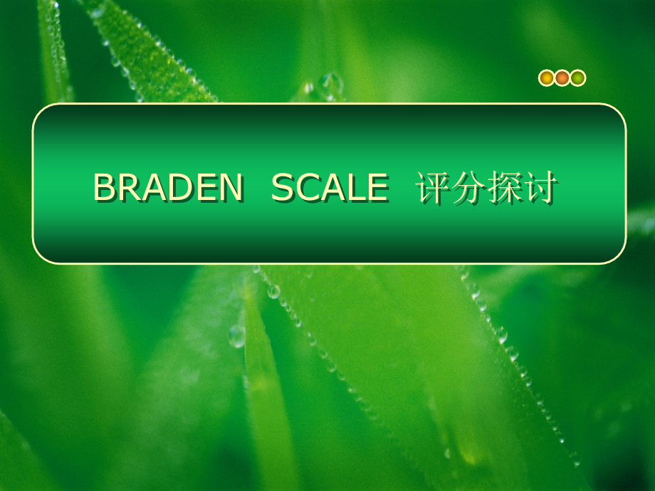 Braden评分表幻灯.pptx_第1页