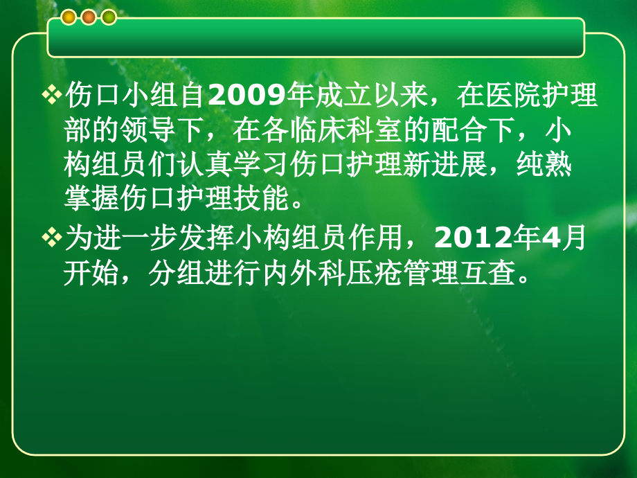 Braden评分表幻灯.pptx_第2页