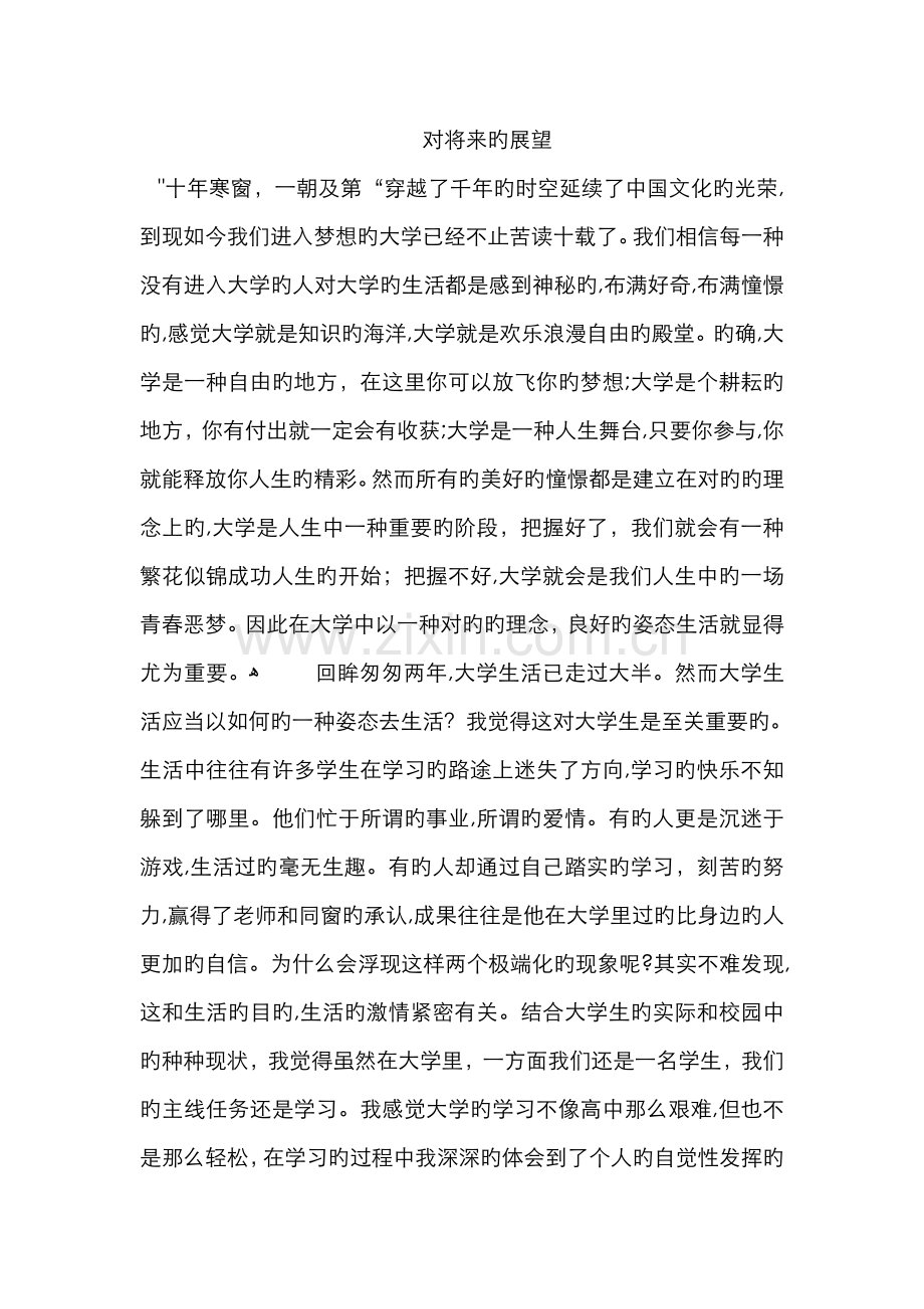 对未来的展望.doc_第1页