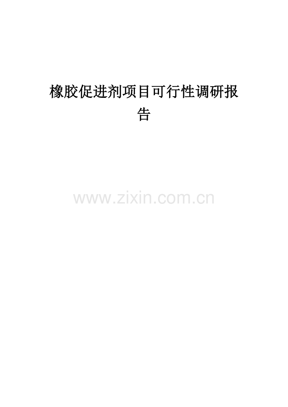 2025年橡胶促进剂项目可行性研究报告.docx_第1页