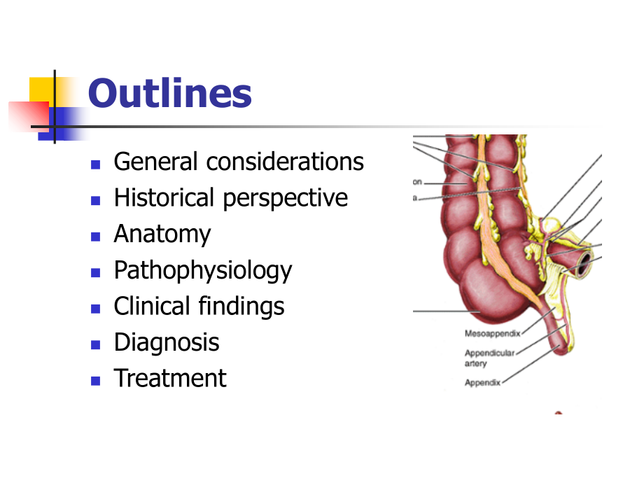急性阑尾炎英文.ppt_第2页
