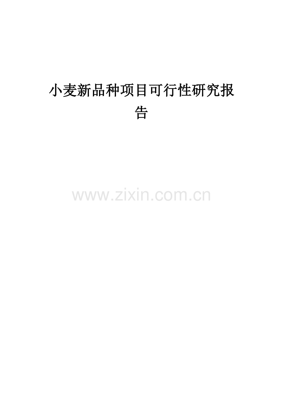 2024年小麦新品种项目可行性研究报告.docx_第1页