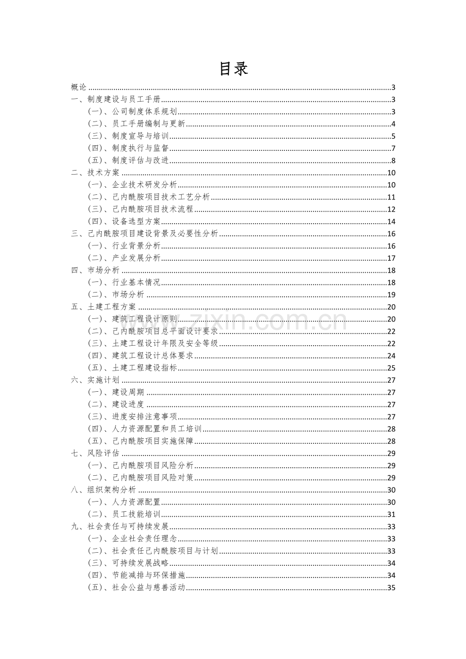 2025年己内酰胺项目大数据研究报告.docx_第2页