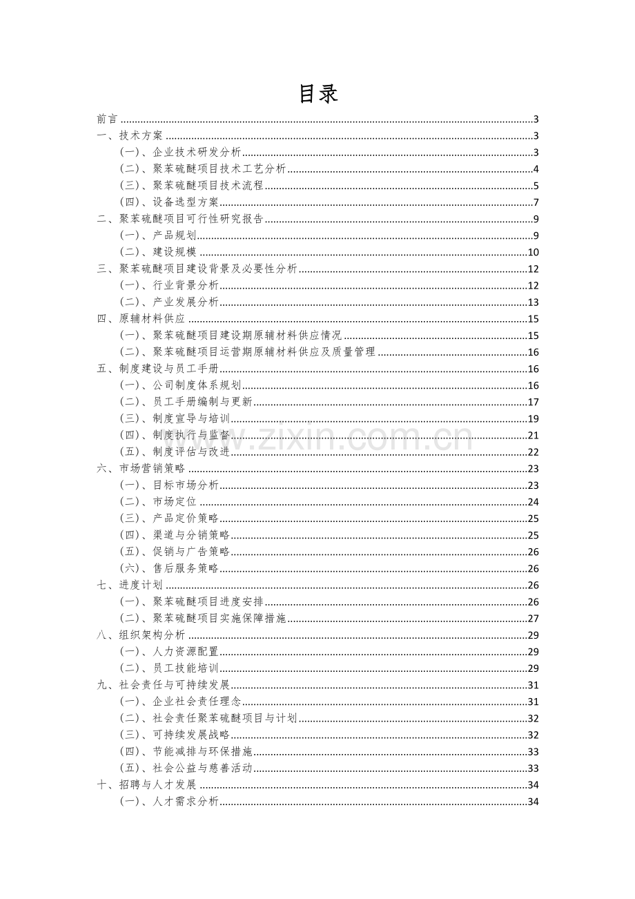 2024年聚苯硫醚项目可行性研究报告.docx_第2页