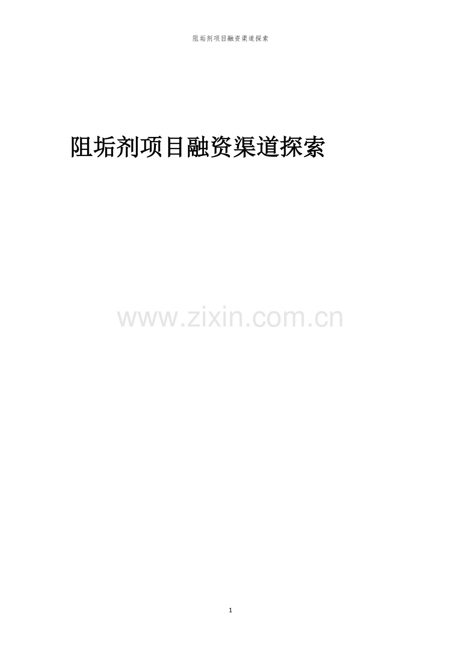阻垢剂项目融资渠道探索.docx_第1页