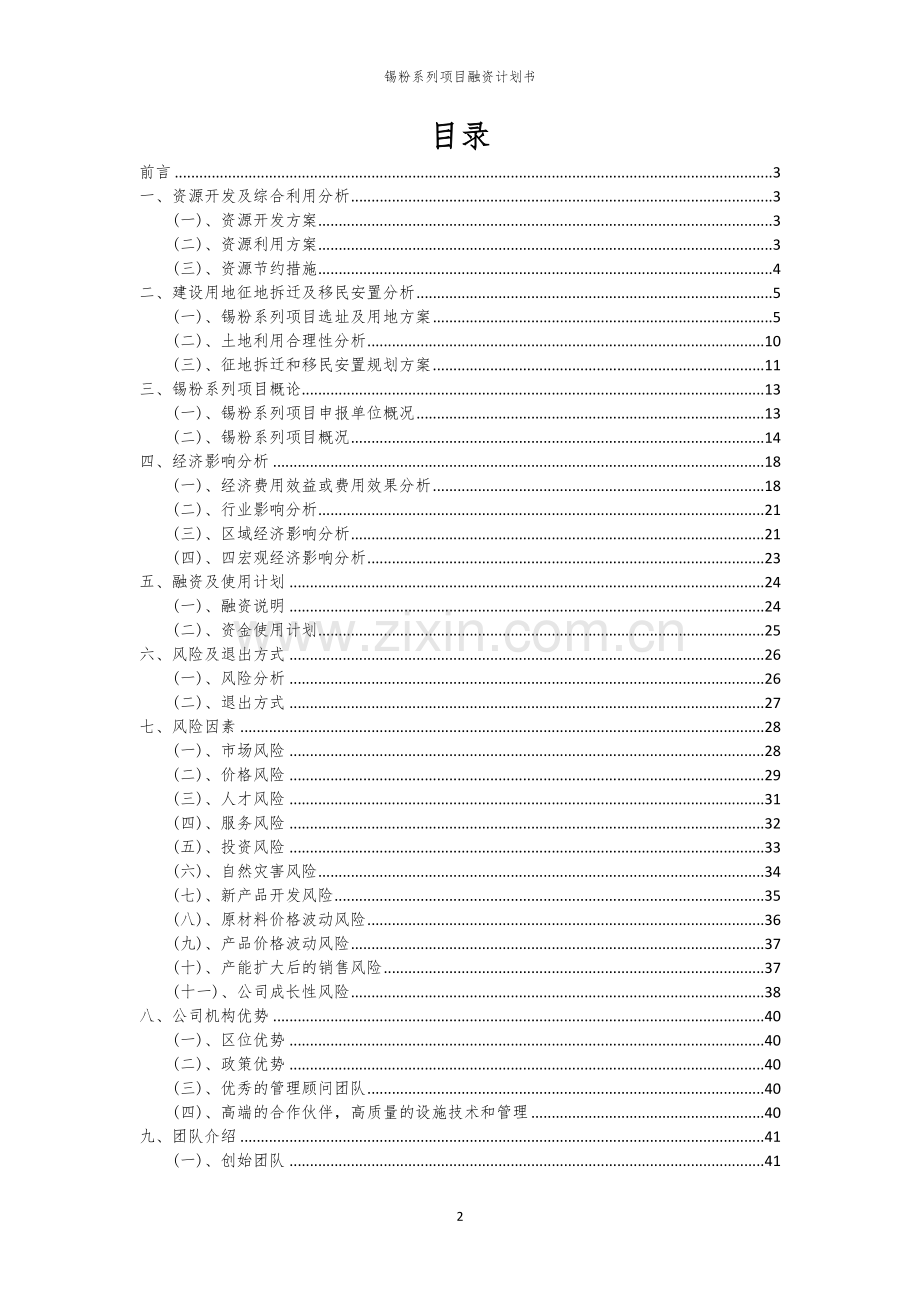锡粉系列项目融资计划书.docx_第2页