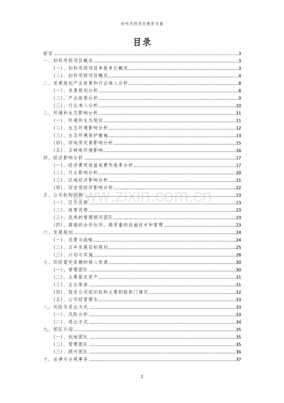 妇科用药项目筹资方案.docx_第2页